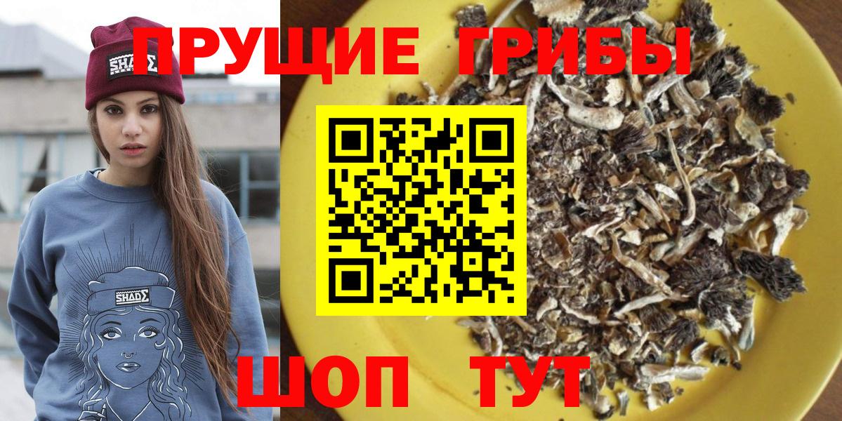 Псилоцибиновые грибы GOLDEN TEACHER Невинномысск