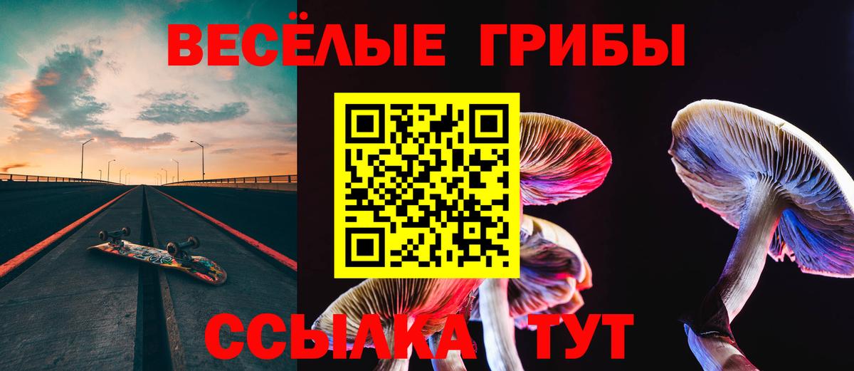 Псилоцибиновые грибы мухоморы  Вход с VPN  Невинномысск 